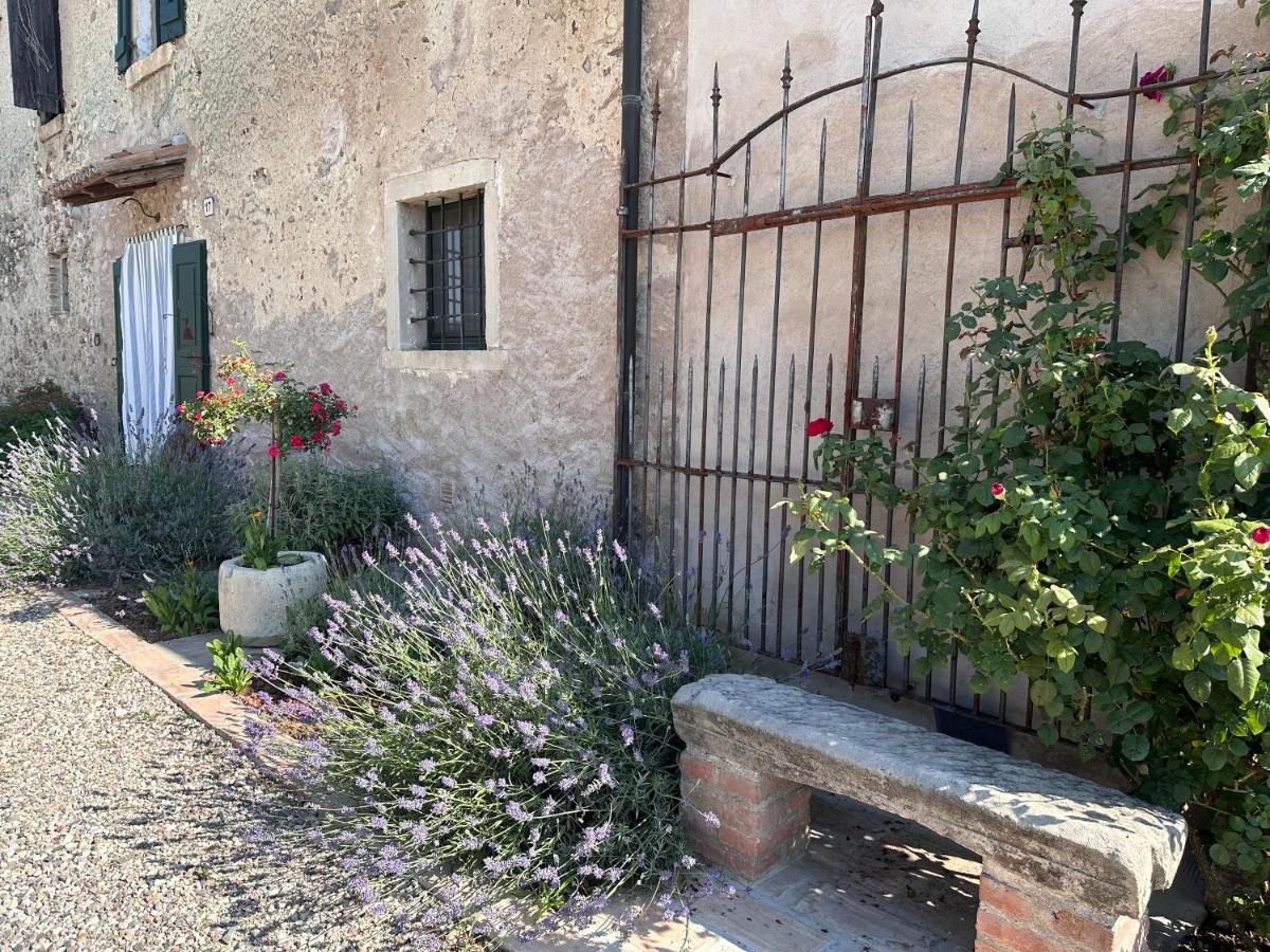 Ca Nova Agriturismo Castellaro  外观 照片