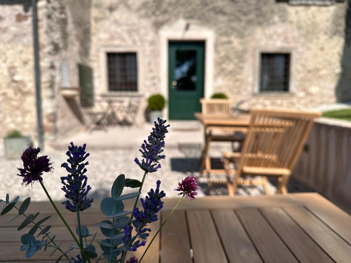 Ca Nova Agriturismo Castellaro  外观 照片