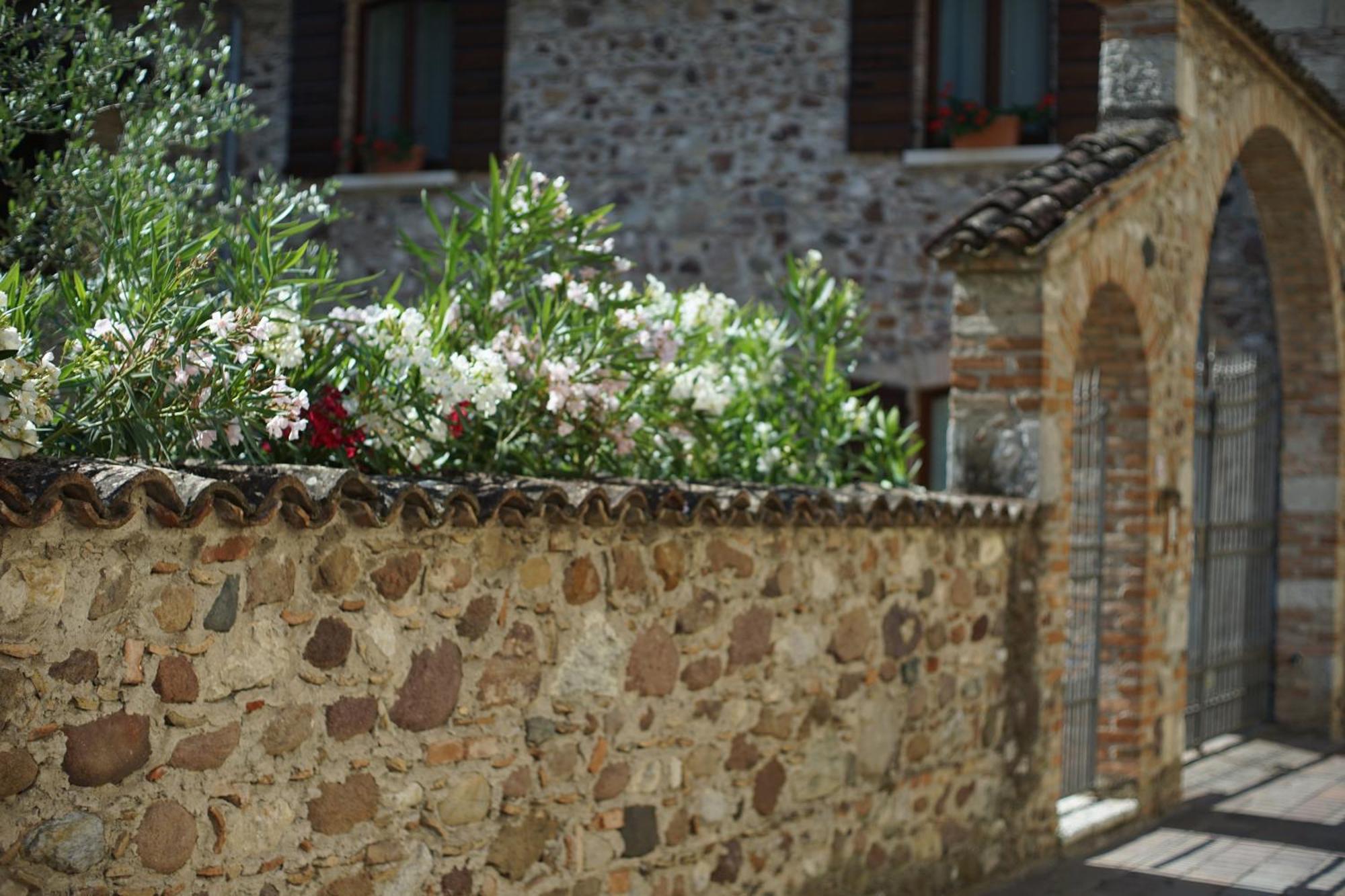 Ca Nova Agriturismo Castellaro  外观 照片
