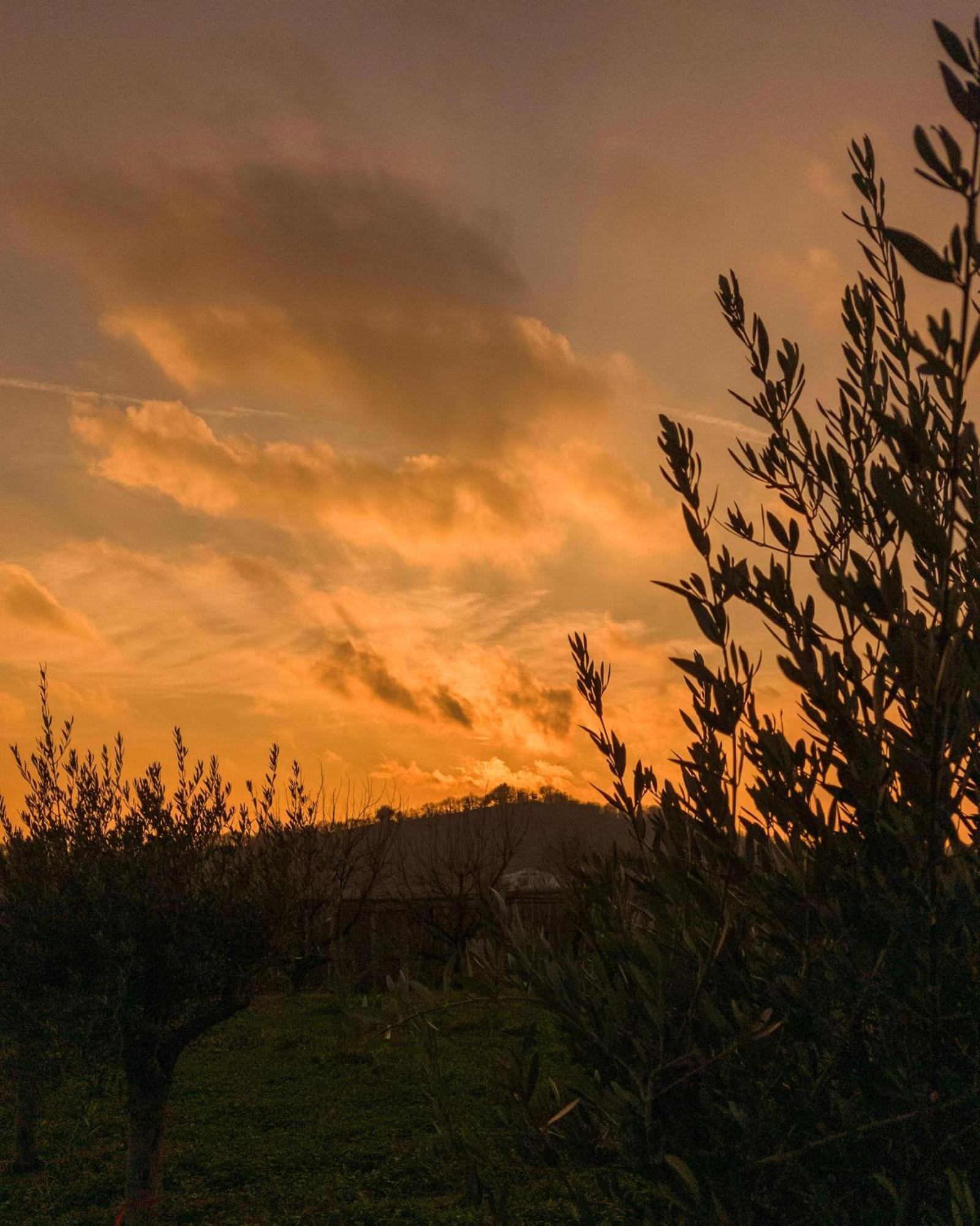 Ca Nova Agriturismo Castellaro  外观 照片