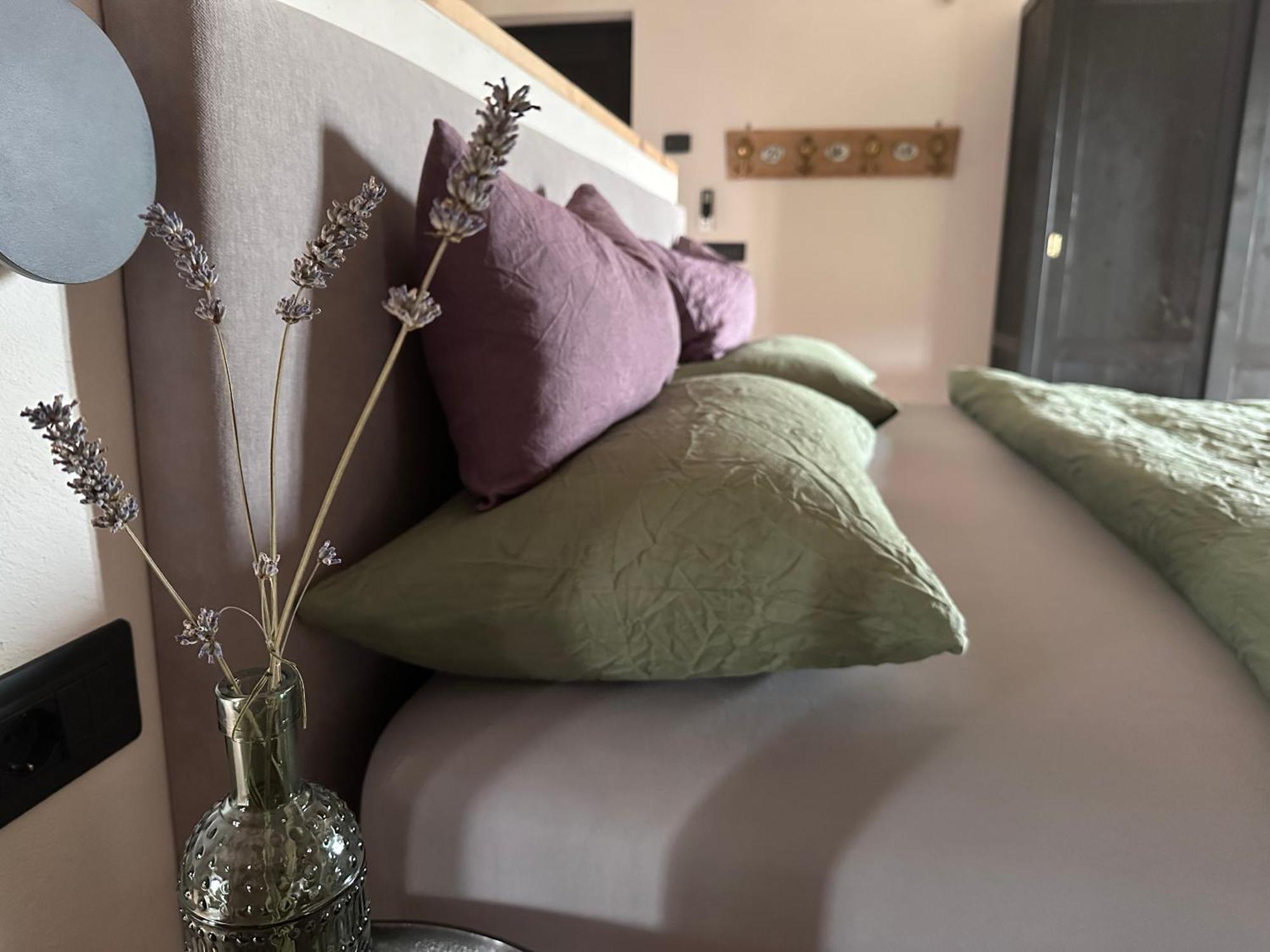Ca Nova Agriturismo Castellaro  外观 照片
