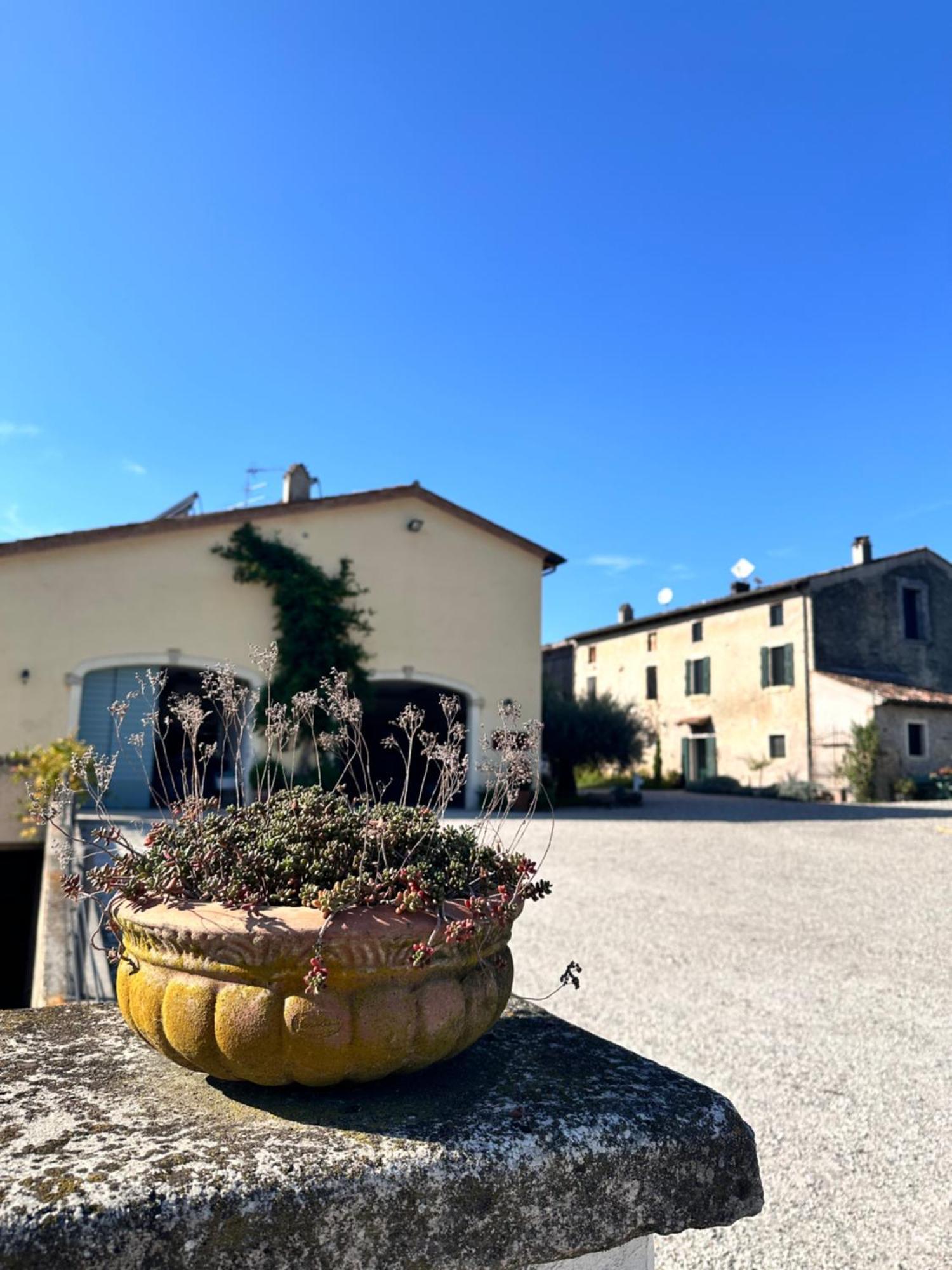 Ca Nova Agriturismo Castellaro  外观 照片