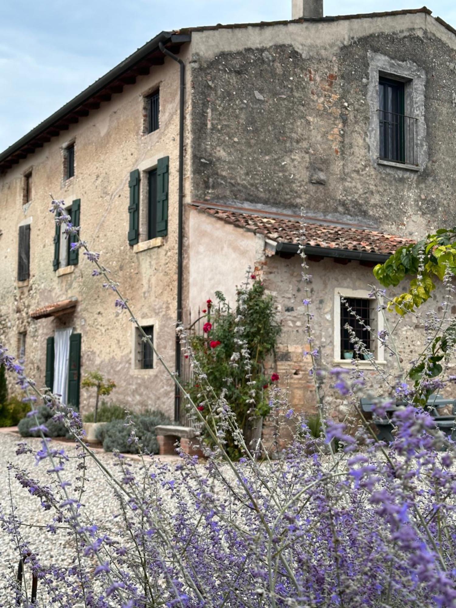 Ca Nova Agriturismo Castellaro  外观 照片